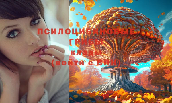 PSILOCYBIN Бронницы