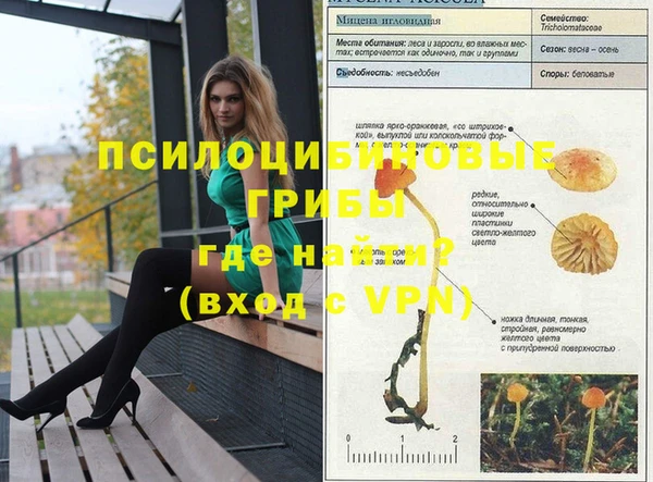 jwh Михайловск