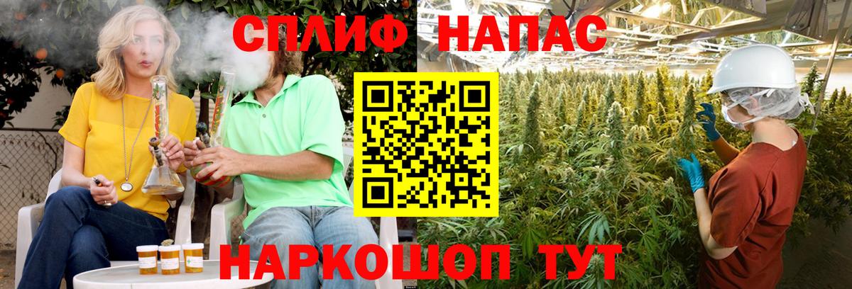 Конопля Ессентуки